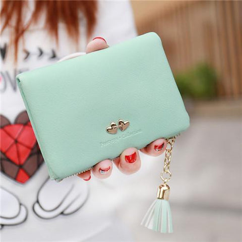 Elegant Square Purse